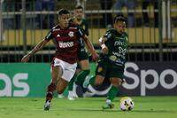 Gilvan de Souza/ CR Flamengo