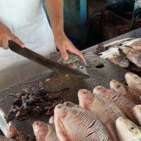 No ano passado, em setembro, surgiu o primeiro caso suspeito da doença na cidade, período em que houve queda de 95% na venda do pescado