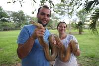 Breno e Milena mostram a cobra Amarelão, que ganhou o apelido nacional de Anaconda Mutante