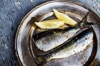 Especialistas recomendam consumo de peixes ricos em ômega 3, como a sardinha