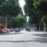 A “cidade das mangueiras” abriga cerca de 120 mil árvores