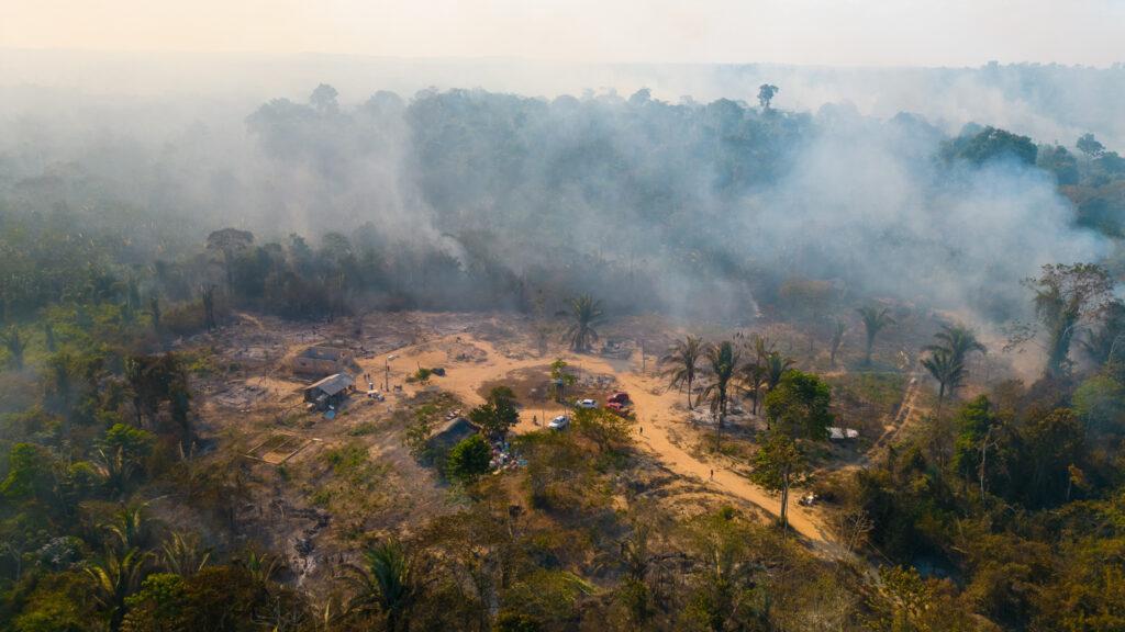 As chamas destruíram casas, plantações, animais e uma escola