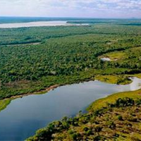 Localizada em São Félix do Xingu, no Pará, o território abriga o Povo Parakanã