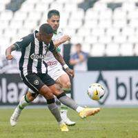 Botafogo e América-MG empatam no Nilton Santos