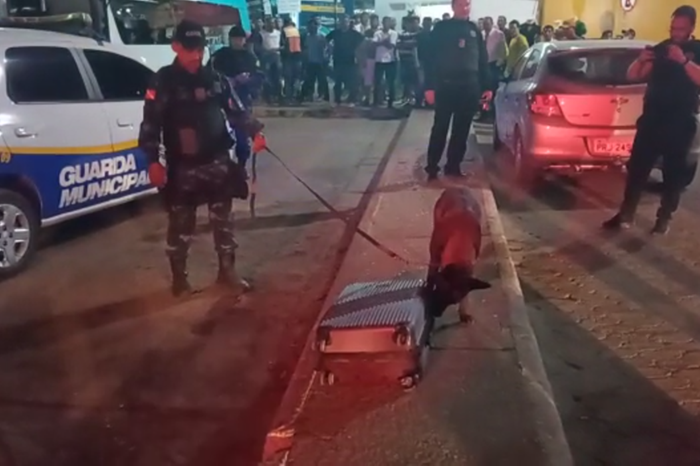 Cachorro do Canil da Guarda Municipal de Marabá identificou a bagagem que carregava a droga.