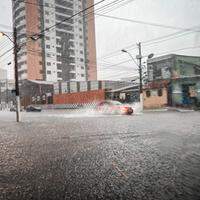 A chuva que caiu em Belém, no domingo, provocou rajadas de vento de até 45 km/h, segundo dados da estação meteorológica do Aeroporto Internacional de Belém