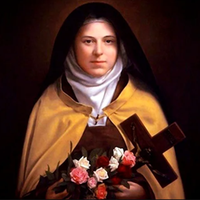Além de ser a padroeira dos missionários, Santa Teresinha é considerada a protetora dos dos doentes de AIDS, tuberculose e dos floristas e jardineiros.