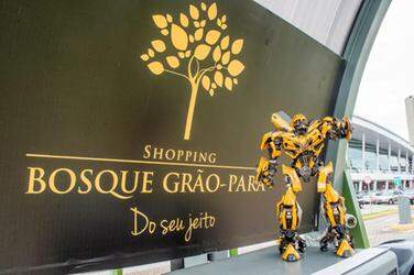 Shopping Bosque Grão-Pará - Felinistas radicais: aqueles que não