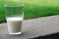 O leite é fonte de cálcio, mas precisa ser consumido com moderação