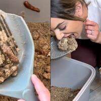 Com mais de 38 mil comentários, o vídeo inicia com a jovem comendo o bolo que simula caixa de areia usada por gatos, e, em seguida, o público acompanha a reação do pet de estimação