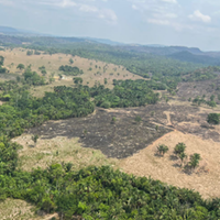 São 25 mil hectares de área protegidas no foco do incêndio, que também é chamado de Serra dos Martírios