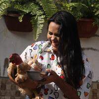 A galinha Caetana Velosa chama atenção por ser apaixonada por açaí