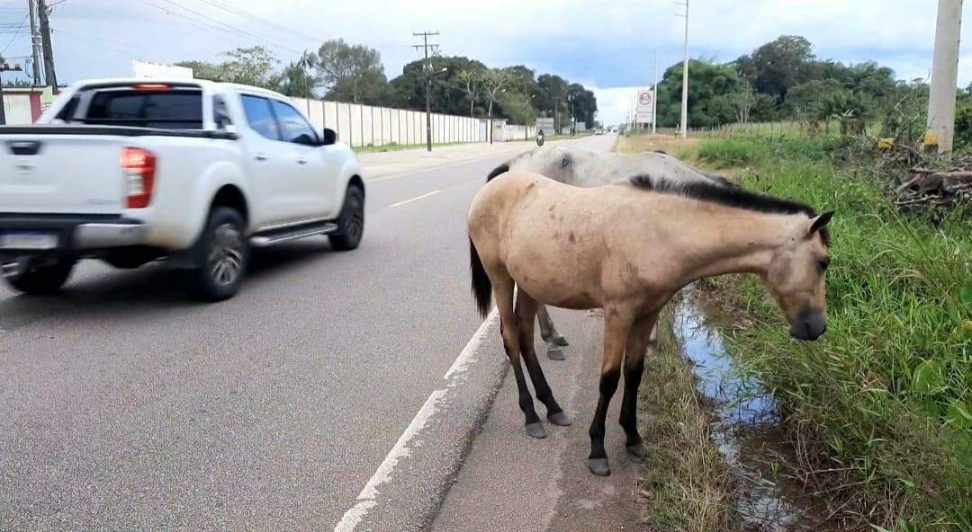 Estava muito triste, porém isso me animou. Processo de denúncia