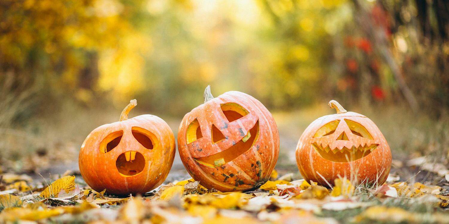 5 animações de Halloween para comemorar o Dia das Bruxas