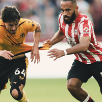 Wolverhampton e Brighton jogam neste sábado partida válida pela 15ª rodada da Premier League / Campeonato Inglês