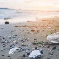 Os plásticos são os principais detritos encontrados no ambiente marinho, podendo levar 500 anos para se decompor