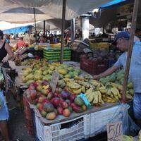 No Mercado do Ver-o-Peso, frutas nativas e exóticas disputam a atenção dos consumidores