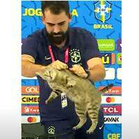 Gato foi retirado pelo assessor Vinícius Rodrigues
