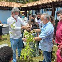 Nos últimos dois anos, Belém avançou na política de arborização da capital paraense