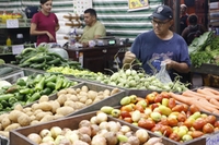 Ceasa tem opções de compra de alimentos para consumidores