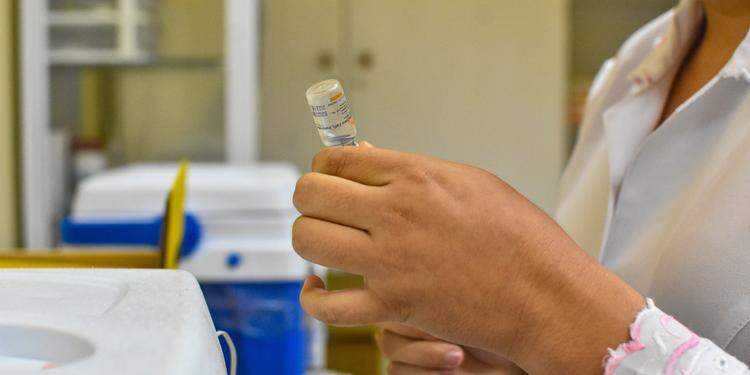 Divulgação / Agência Belém Divulgação / Agência Belém