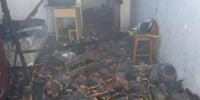 Reprodução Reprodução