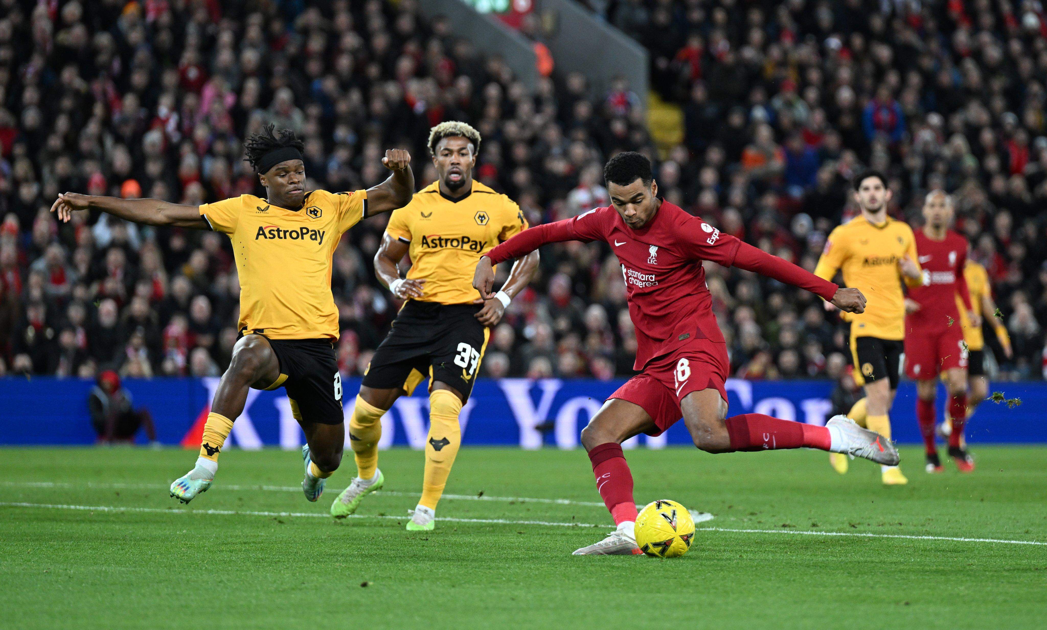 Brighton x Liverpool: onde assistir ao vivo, horário e escalações