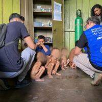 Crianças Yanomami com desnutrição severa são atendidos por equipes do Ministério da Saúde