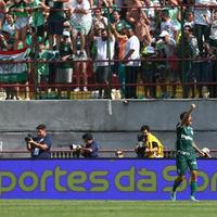 Palmeiras levantou a taça pela segunda vez na história