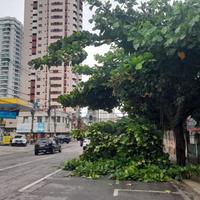 Parte de uma árvore caiu na travessa Padre Eutíquio, próximo à avenida Fernando Guilhon, no bairro Batista Campos, nesta quinta-feira (26). Ninguém ficou ferido. Mas os galhos ficaram espalhados na rua