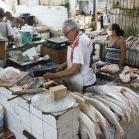 Quem tiver interesse em vender espécies de peixe de Belém para outros municípios e Estados deverá solicitar a chamada “guia de transporte de pescado”, junto à Prefeitura de Belém.