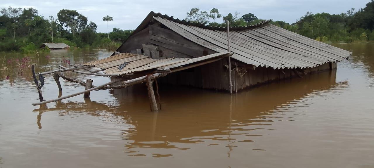Zona rural de Itupiranga extremamente afetada pela eleva&ccedil;&atilde;o dos rios da regi&atilde;o