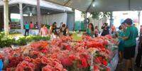 Divulgação/ Festival das Flores
