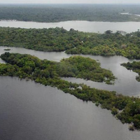 Dentre os 47 homicídios registrados, 34 deles ocorreram na Amazônia Legal