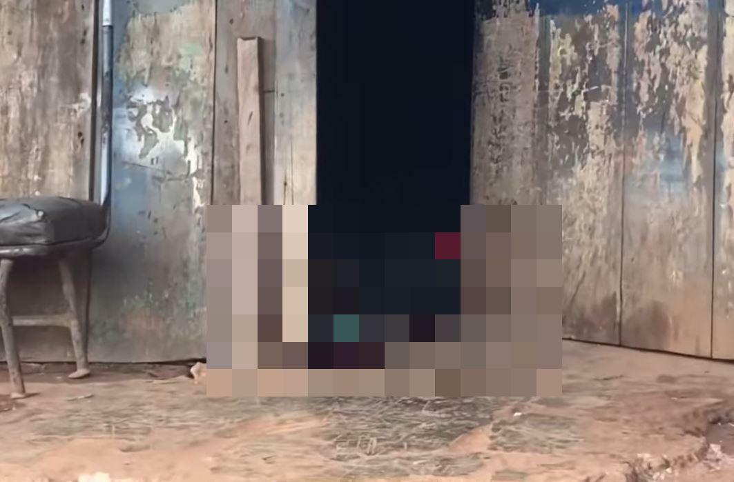 Reprodução / Native News Carajás