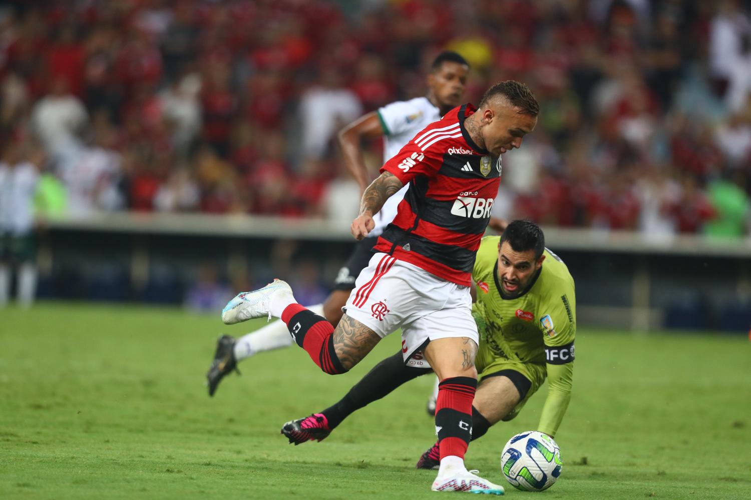 Flamengo ao vivo: Como assistir ao jogo contra o CSA na Globo e online ·  Notícias da TV