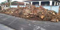 Restos de árvore amontoadas em rua de Salinópolis