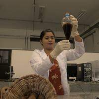 A biotecnóloga Vanessa Albuquerque tem feito uma pesquisa sobre o desenvolvimento de biocombustíveis, experimento feito a partir de produtos naturais provenientes da região amazônica