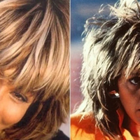 Tina Turner inspirou personagem de Regina Casé em "Cambalacho", na década de 80
