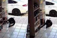 Captura de um trecho do vídeo onde um homem se rasteja para furtar loja / Foto: Divulgação