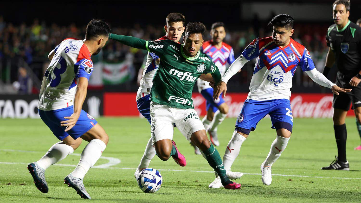 AO VIVO e grátis! Assista Palmeiras x Santo André pelo Campeonato