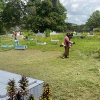 Os cemitérios receberam equipes formadas por 50 pessoas para atuar no mutirão de limpeza