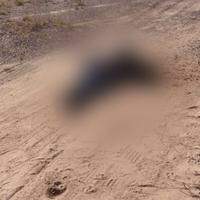 O corpo de um homem, ainda sem identificação, foi encontrado na Estrada do Abacatal, em Ananindeua