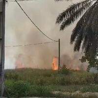 As chamas foram registradas por um morador da área, que não teve identidade revelada