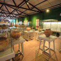 Museu se destaca pela preservação e interatividade com as peças que fazem parte da história milenar do Marajó