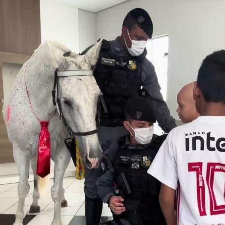 Jovens são presos por introduzir cabo metálico no ânus de cavalo