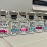 Vacina contra dengue custa mais de R$ 500 em clínicas particulares de Belém