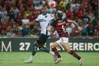 Vitor Silva/ Botafogo