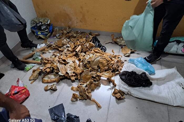 Vasto material que também associa o suspeito ao crime de tráfico de drogas, como crack e cocaína.