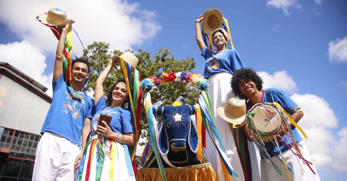 O que é o Arraial do Pavulagem? Conheça a origem do arrastão paraense ...